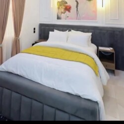 Short-let Apartment asaba