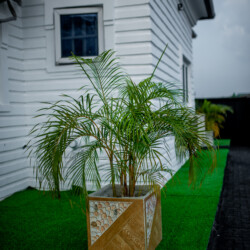 Shortlet apartment warri