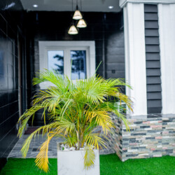 Shortlet apartment warri