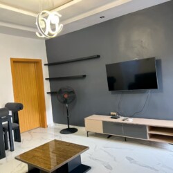 Shortlet apartment lagos mainland