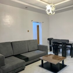 Shortlet apartment lagos mainland
