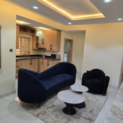 1 bedroom shortlet apartment